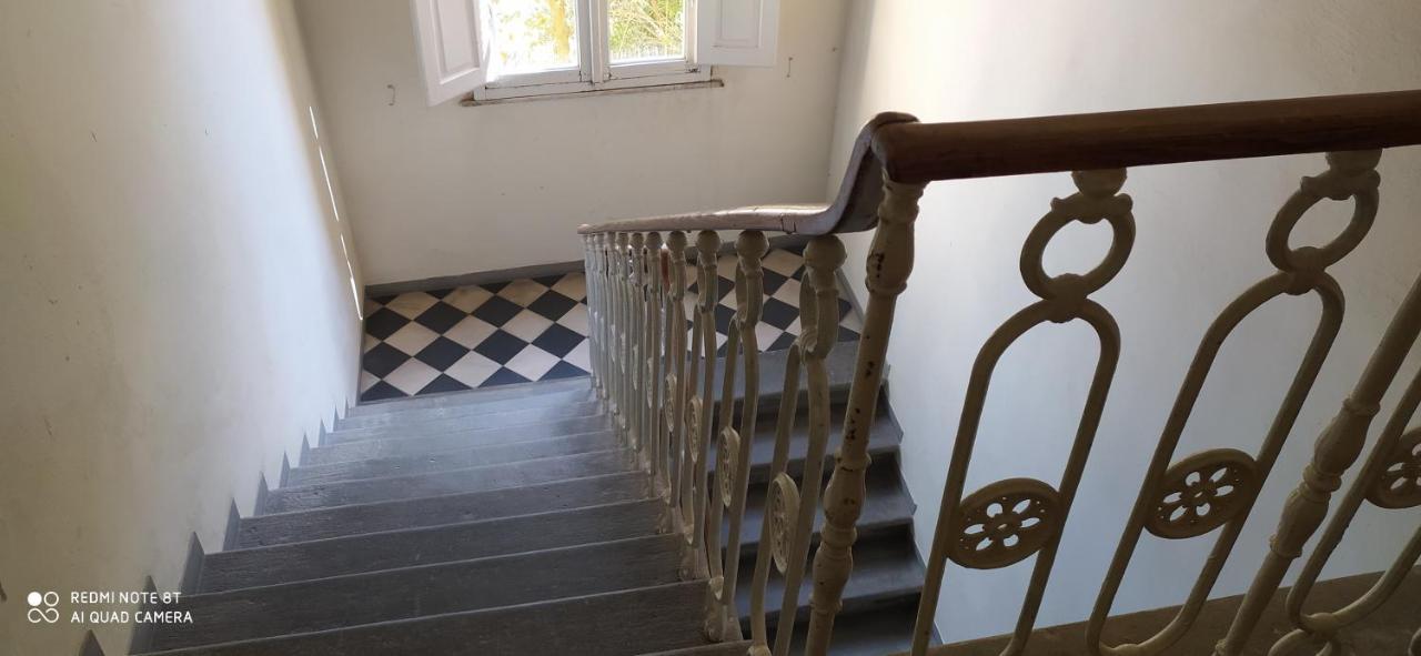 Desiderio Apartment Pisa Bagian luar foto