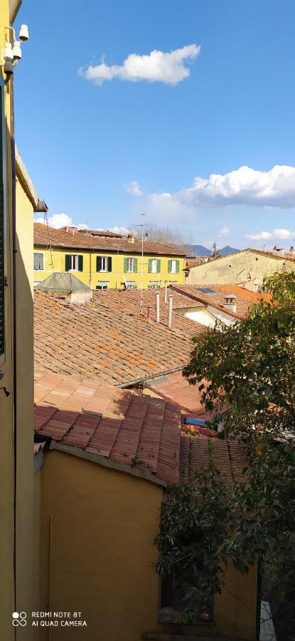 Desiderio Apartment Pisa Bagian luar foto